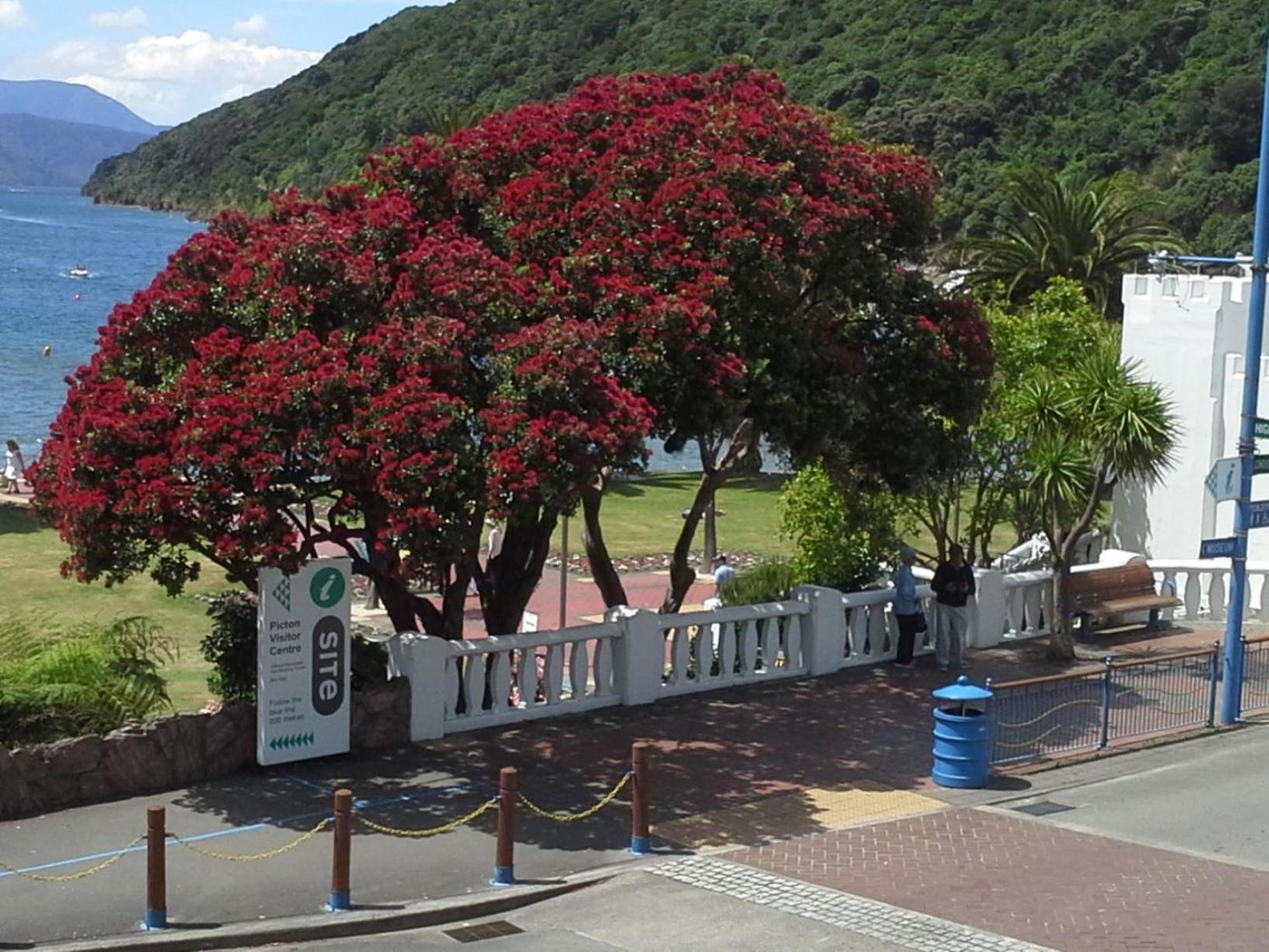 Pohutukawa Apartment Picton Zewnętrze zdjęcie